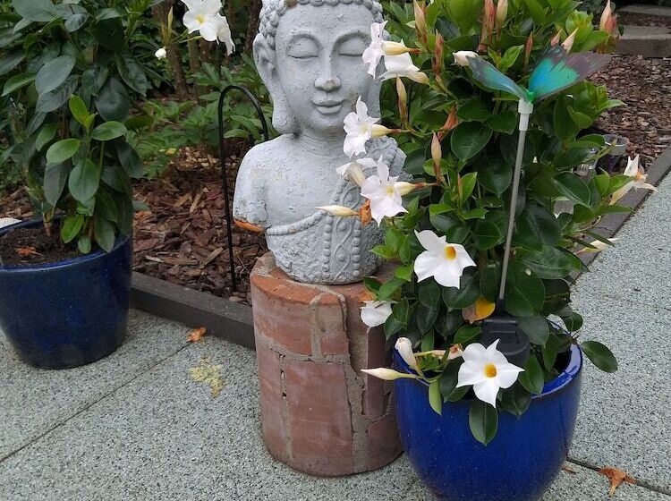 בית מלון כפרי Rene's B&b