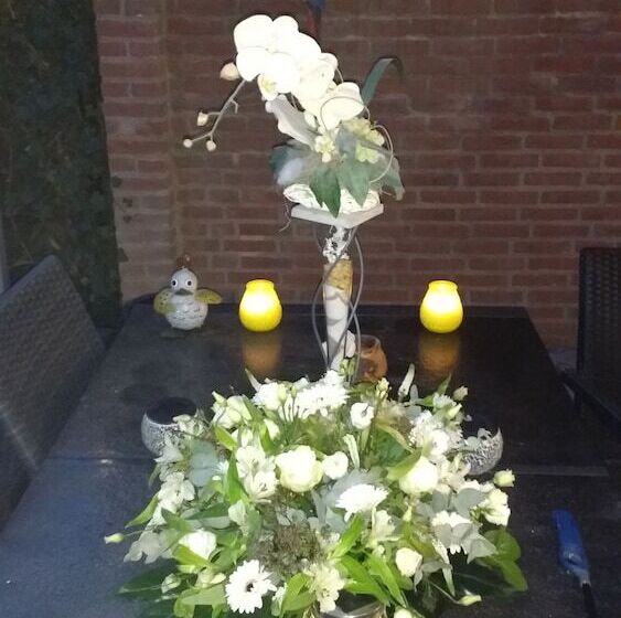 בית מלון כפרי Rene's B&b