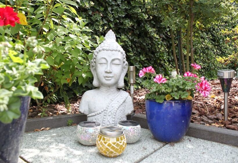 בית מלון כפרי Rene's B&b