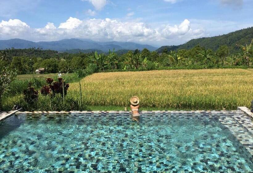 בית מלון כפרי Sanak Retreat Bali