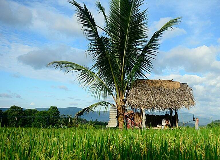 בית מלון כפרי Sanak Retreat Bali