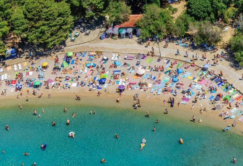 酒店 Scala Bed & Breakfast