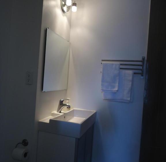 Отель Spadina 11 Guesthouse