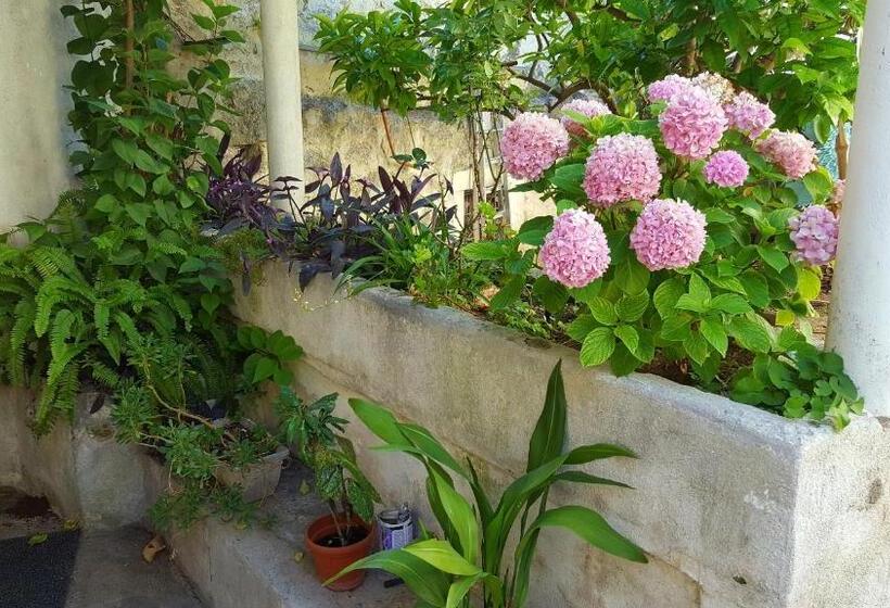 ホテル Stipan Studio & Room