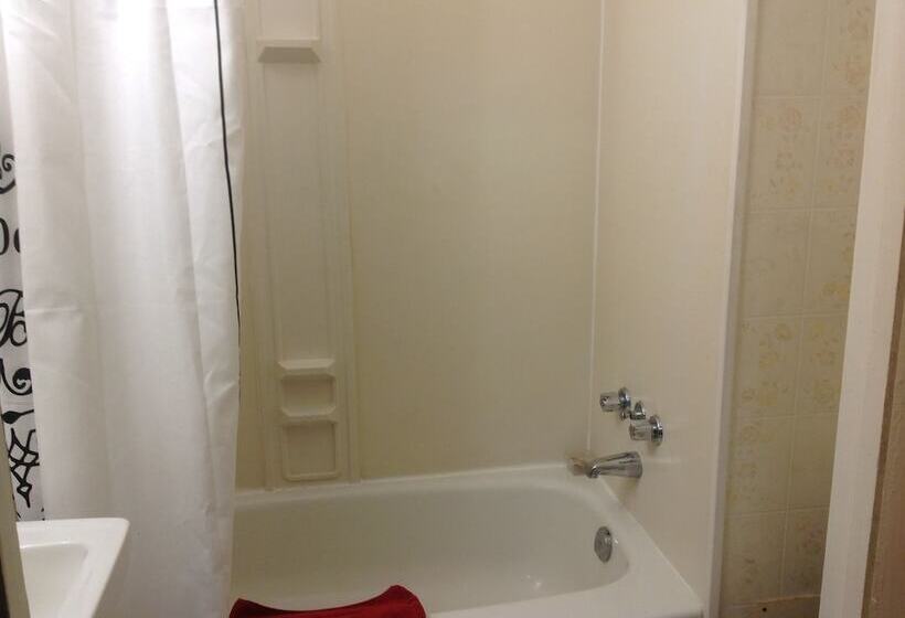 酒店 The Algonquin