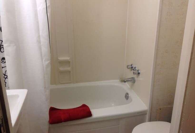 酒店 The Algonquin