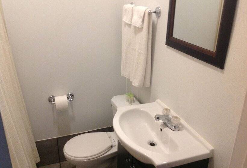 酒店 The Algonquin