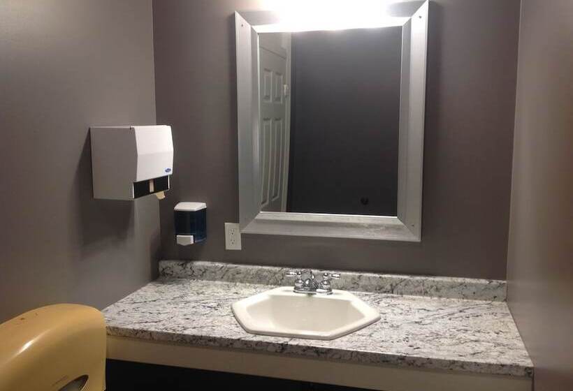 酒店 The Algonquin