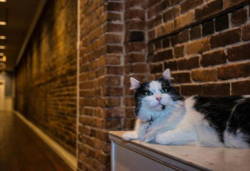 酒店 The Cambie Hostel Gastown