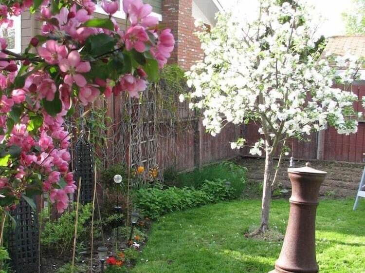 Отель The Grateful Bed B N B