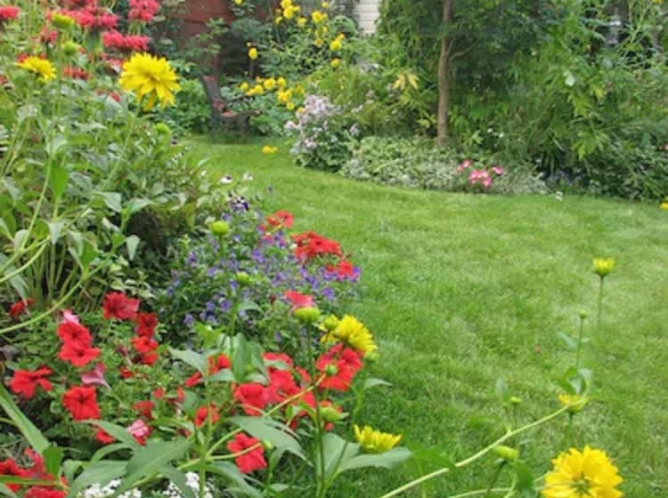 Отель The Grateful Bed B N B