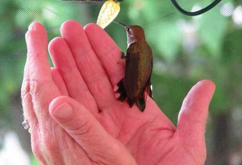 Отель The Grateful Bed B N B