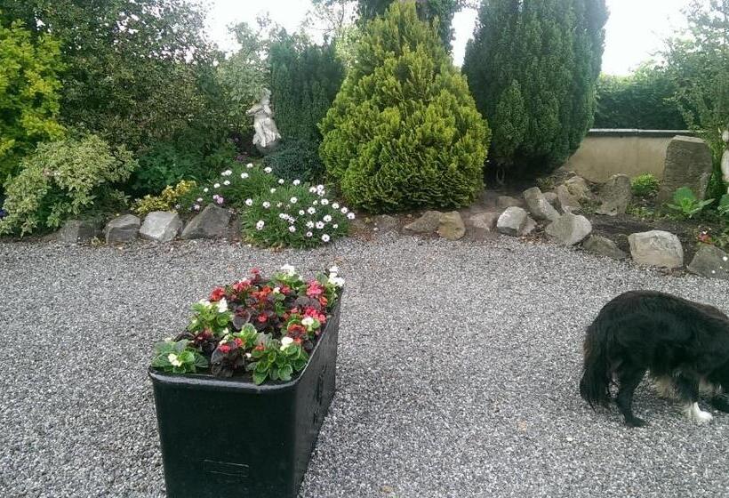 בית מלון כפרי The Ring Farmhouse