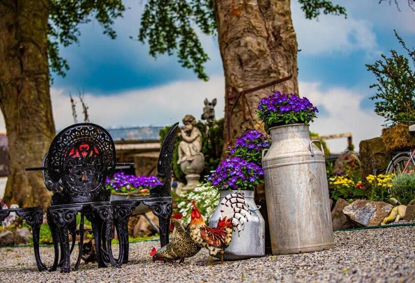 בית מלון כפרי The Ring Farmhouse