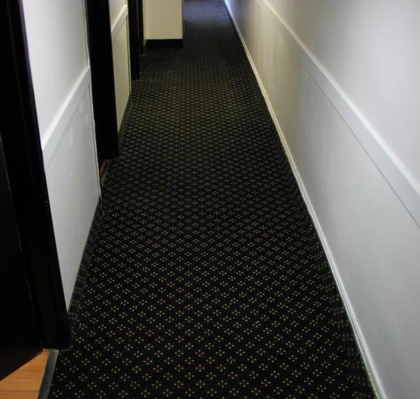 酒店 Toronto Central