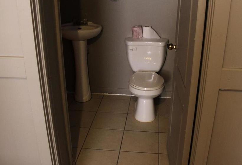 酒店 Toronto Central