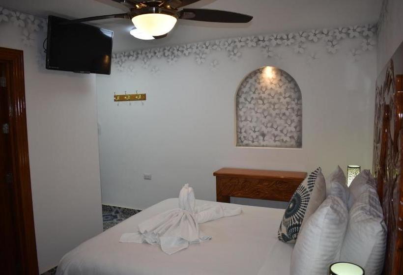 فندق Villa Pajaros