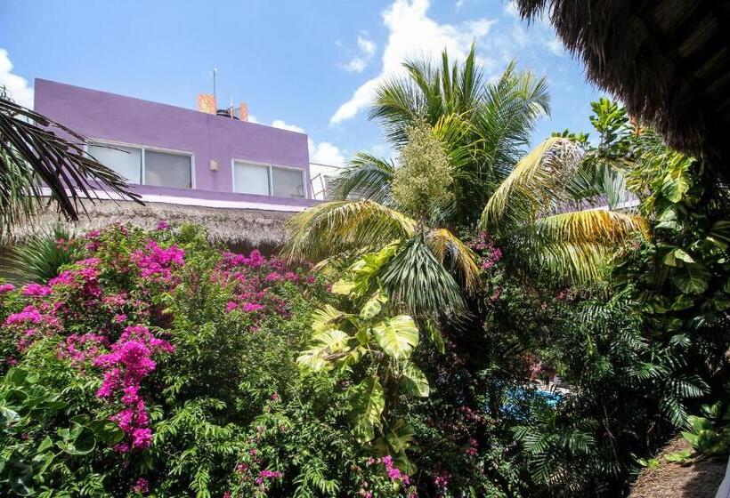 ホテル Villas Geminis Boutique Condo