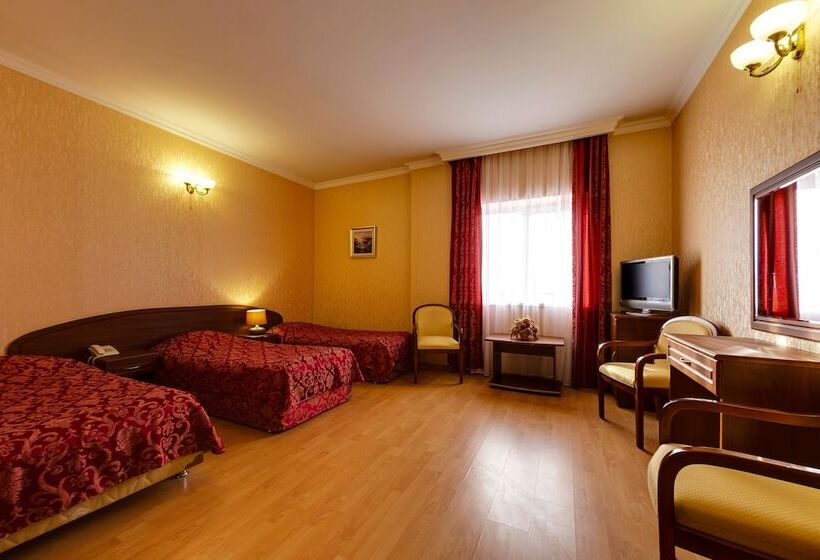 בית מלון כפרי Vizit