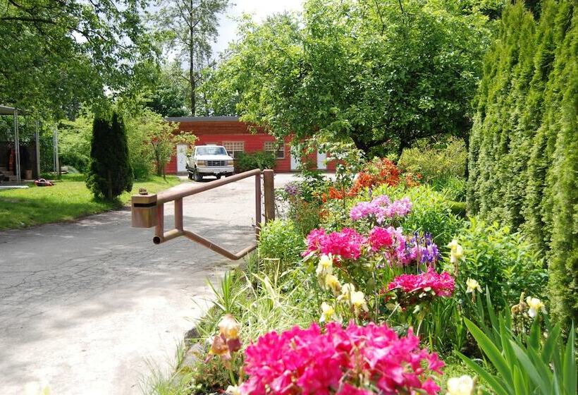 בית מלון כפרי Woodside Inn