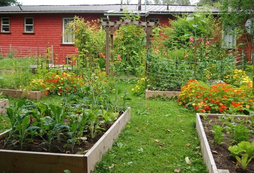 בית מלון כפרי Woodside Inn