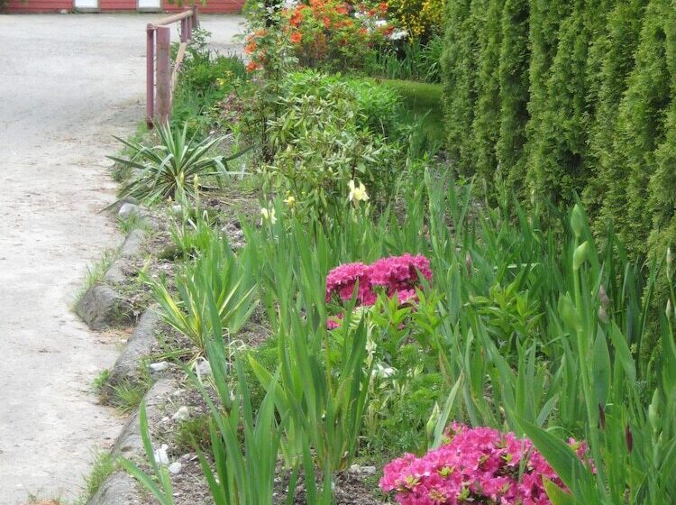 בית מלון כפרי Woodside Inn