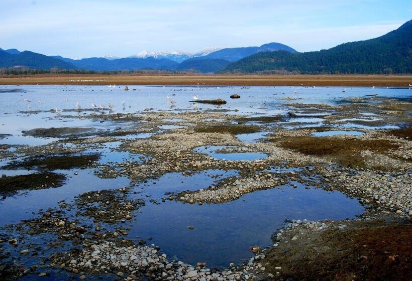 בית מלון כפרי Woodside Inn