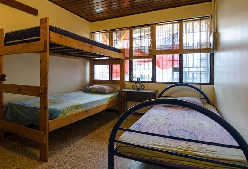 In The Wind Hostel And Guesthouse