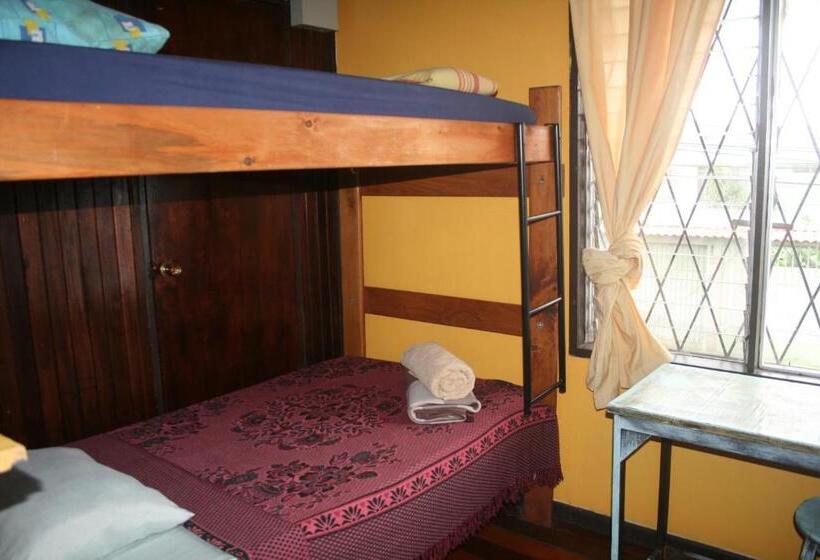 In The Wind Hostel And Guesthouse