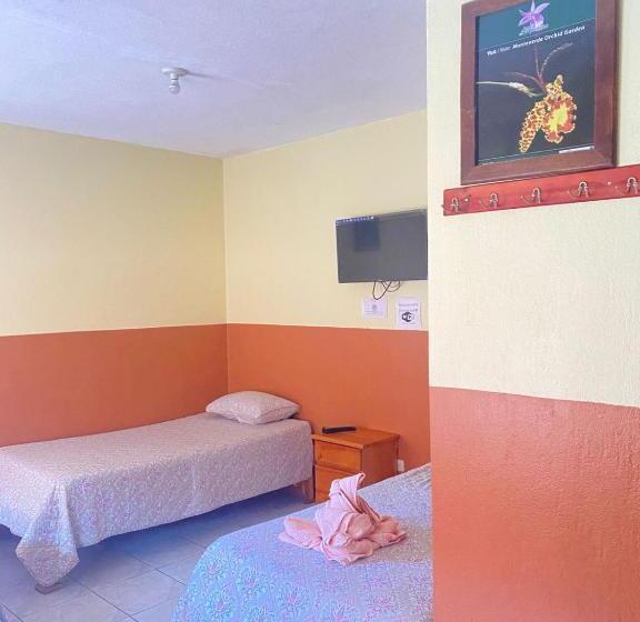 La Puesta Del Sol B&b