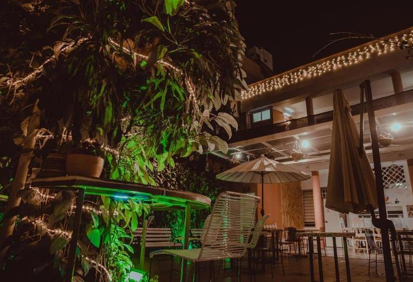 Casa De Pinos Hotel Boutique