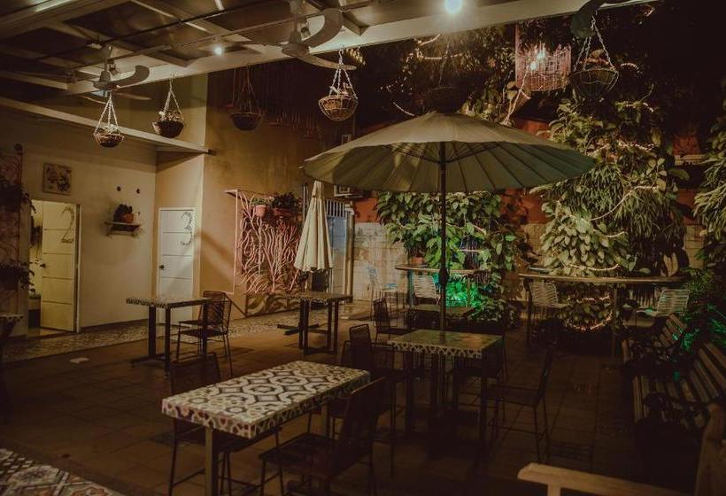 Casa De Pinos Hotel Boutique