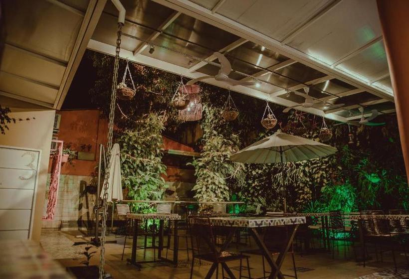 Casa De Pinos Hotel Boutique