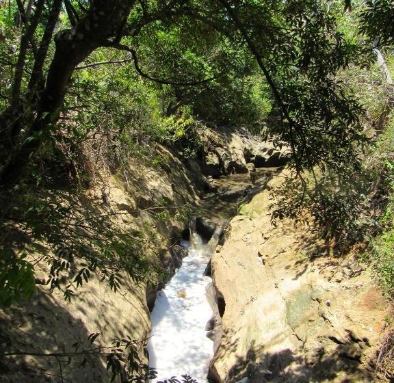 Cariari Bed & Breakfast