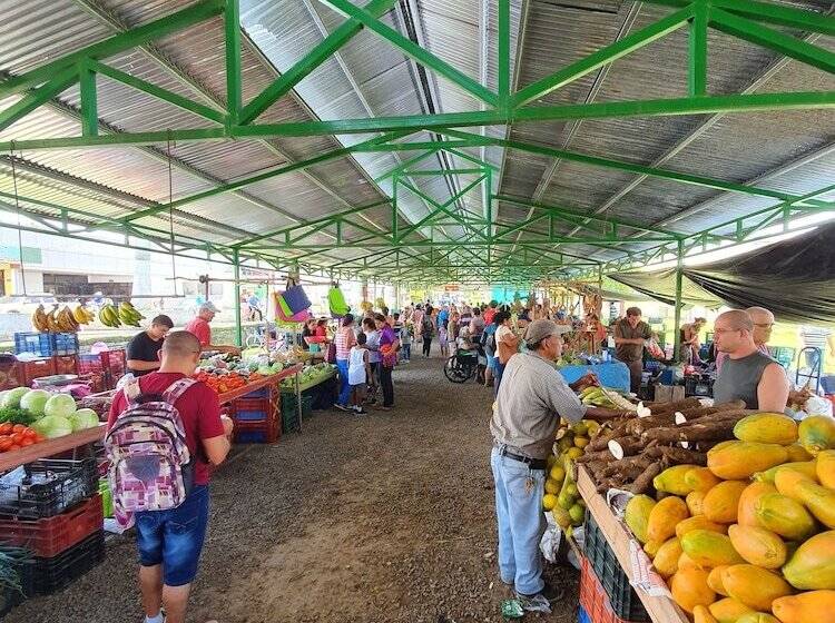 Turrialba Bed & Breakfast