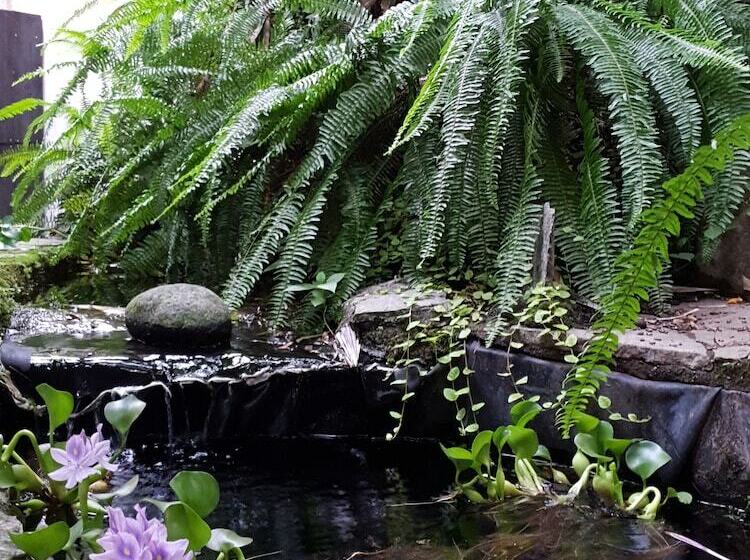Turrialba Bed & Breakfast