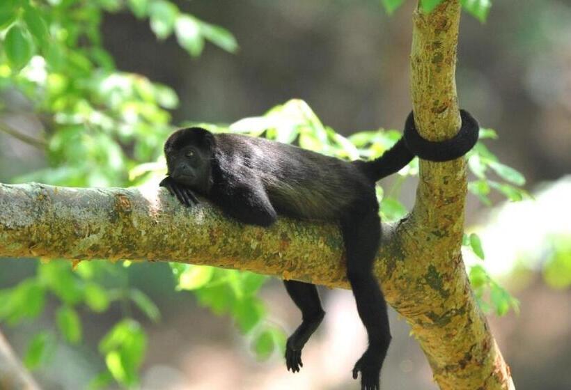 Valle Escondido Nature Reserve Hotel & Farm