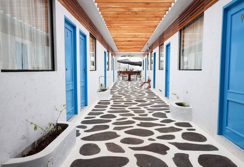 فندق صغير Cactus