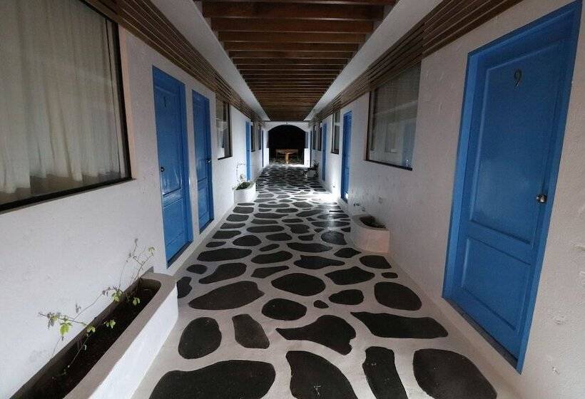 فندق صغير Cactus