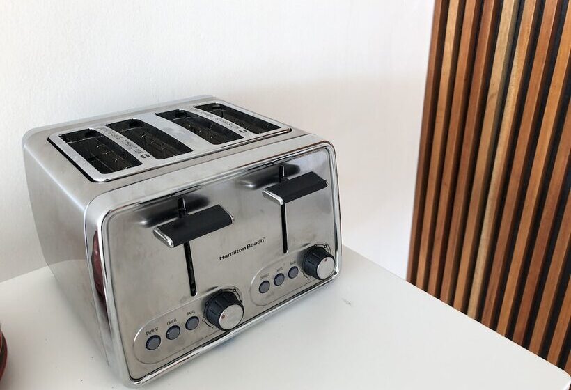 فندق صغير Cactus