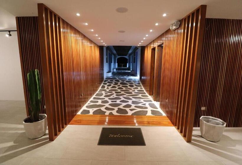 فندق صغير Cactus