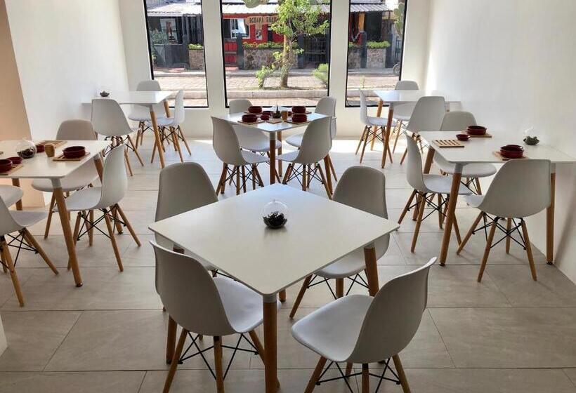 فندق صغير Cactus