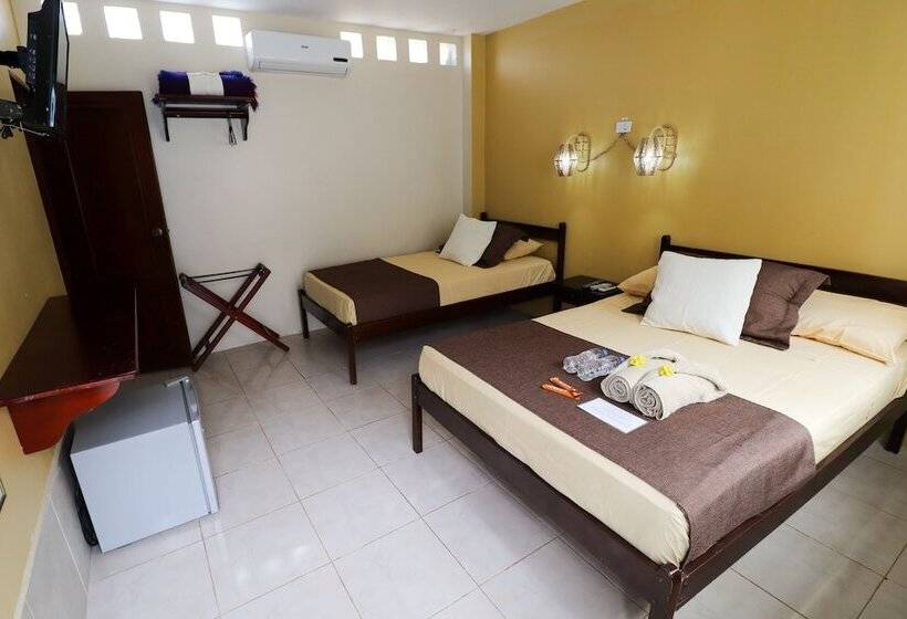 فندق صغير Cactus