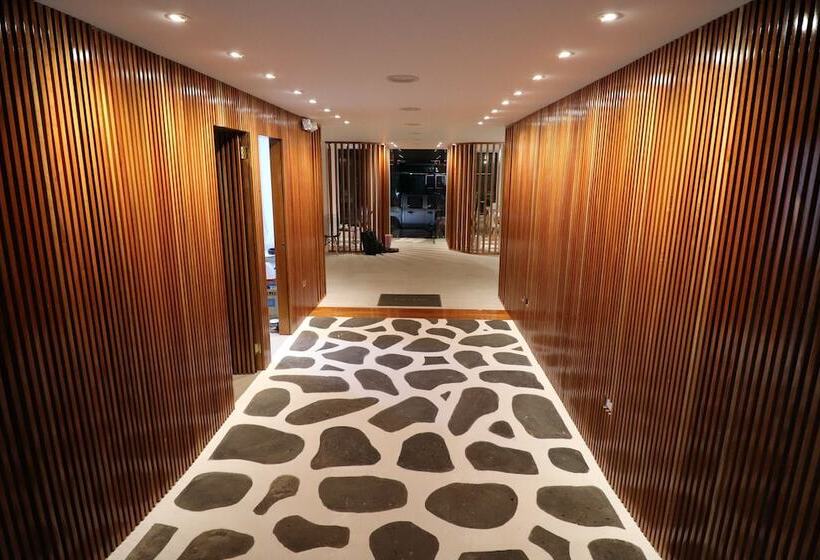 فندق صغير Cactus