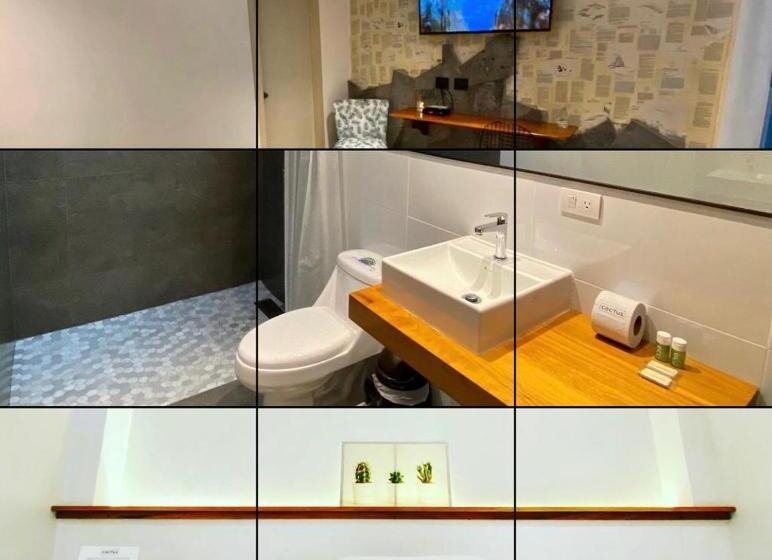 فندق صغير Cactus