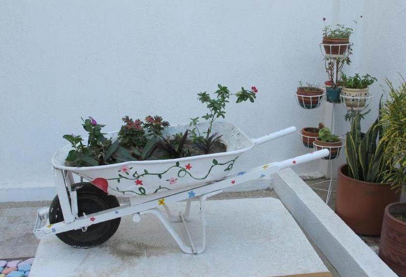 ユースホステル Casa Luna