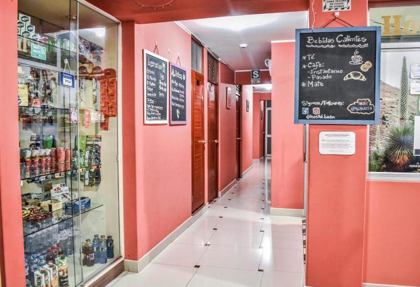 هاستل Hostal Berlin