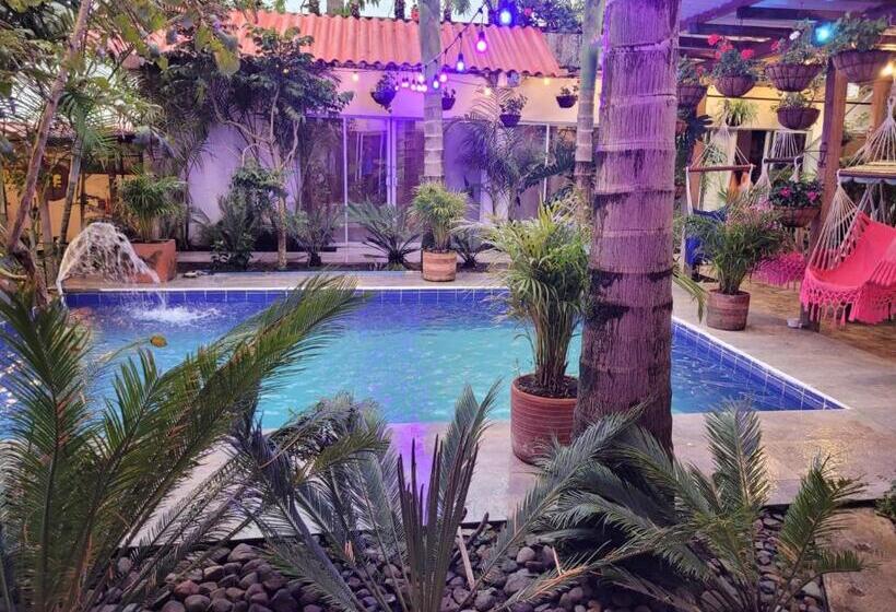 ユースホステル Hostal Hilltop Salento