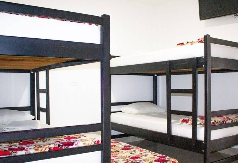 ユースホステル Hostal Viña Del Mar