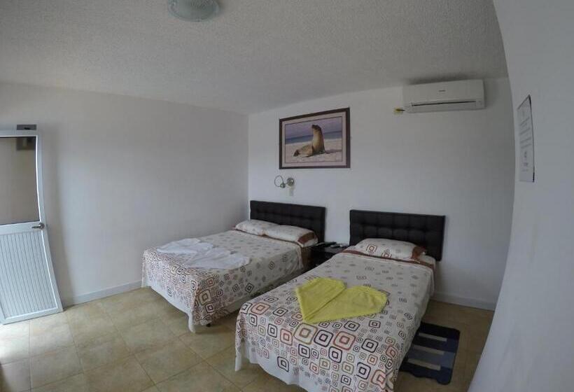 הוסטל Stefany's Lodging